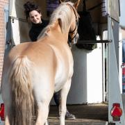 Binnen 3 maanden zélf een trailerlaadprobleem oplossen