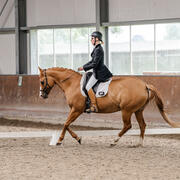 Putten western, dressuur, grondwerkles