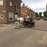 Menwagen met thuig
