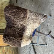 Filzsattel barebackpad