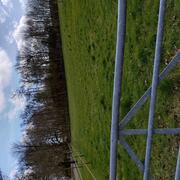 Vanaf 1 juni plek beschikbaar in Denemarken