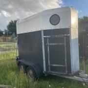 Wesco 1,5 paardstrailer