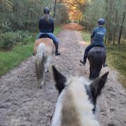 15 juni endurance training met hartslagmeter - 15 km - DFW