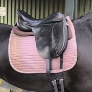 Kent en master Dressuur 17" 