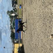 Super knappe 2,5 jarige KWPN-merrie van Kjento