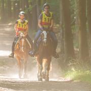 oefen (m)endurance 8 juni - kuinderbos - 10/20 km