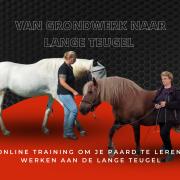 Cursus van Grondwerk naar lange teugel