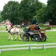 Recreatie/marathonwagen, schijfremmen, luchtvering