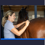 Chiropractor Amber Koppen behandelt op 29 september paarden