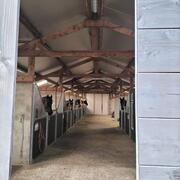 Vakantiestalling voor paarden en pony'