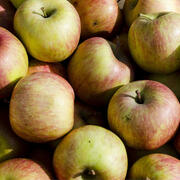Gratis appels