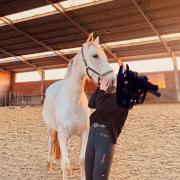 gitana spaanse schimmel E pony