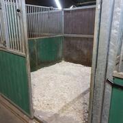 Stalling beschikbaar in Zwartewaal