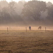 Plekje op Paddock Paradise
