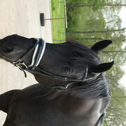 Lieve 7 jarige ruin