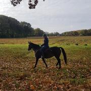 knap weidemaatje, recreatie e pony
