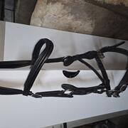 FRA hackamore Calli Full