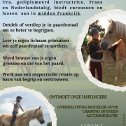 Natuurlijk omgaan en leren comuniceren met paarden