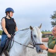 Op zoek naar een betere connectie met jouw paard? 