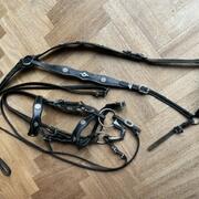 Kieffer barok hoofdstel maat XL