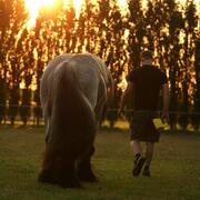 Stalhulp en mogelijk bijrijder gezocht