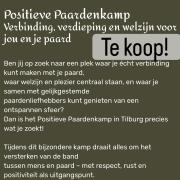 Positieve paardenkamp Niki van Olst 29 t/m 31 augustus