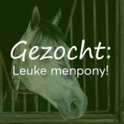 Gezocht: Leuke menpony!