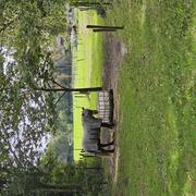 Plek voor 2 sociale ruinen op paddock paradise in Santpoort-