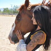 Energy Therapy & Equine Trauma