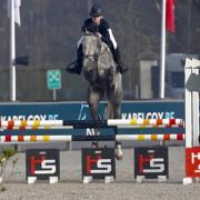 (Spring) ruiter aangeboden