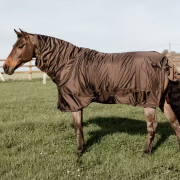 Kentucky Horsewear SALE