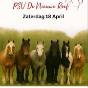 18 april in Sleeuwijk:  Friezen & Barokke paarden Wedstrijd