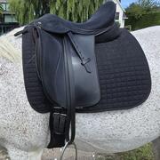 Heather Moffet FlexEE dressage 