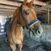 Fantastisch lieve springmerrie van Up to Date