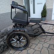 Mooie Excellent sulky