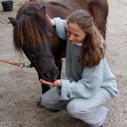 Betrouwbare dierenoppas aan huis (door heel Nederland)