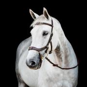 Rambo Micklem multi 2, maat full, bruin