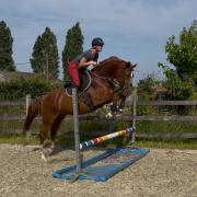 Brave 3 jarige merrie zadelmak