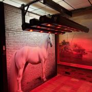 paarden solarium 20 infra rood lampen