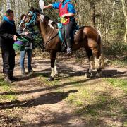31 mei praktijkdag endurance / groonworkshop 