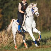 Endurance training midden Brabant