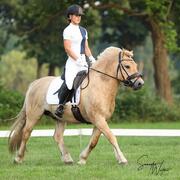 Fjordenruin, Rodblakk