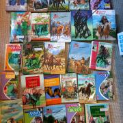 Paardenboeken voor kinderen