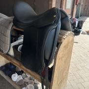 Nieuw model Anatomica Octant