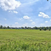 Paardenstalling Groningen ; weidegang en winterstalling