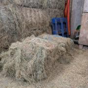 Gratis baal paardenhooi Scherpenzeel