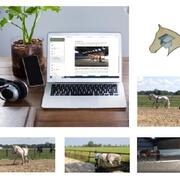 Cursus Dubbele Lange LIjnen (online)