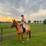 15 jarige D-pony merrie