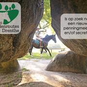 Bestuursleden gezocht Stichting Paardenroutes Drenthe