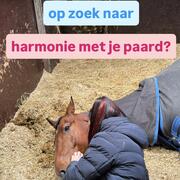 Hulp nodig bij gedrag of vertrouwen in paard kwijt?